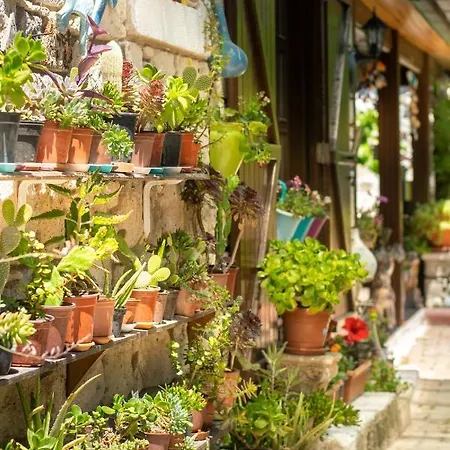 Flores 3* Alaçatı