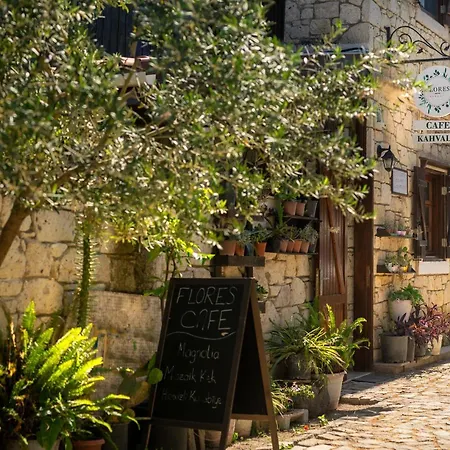Flores ألاتشاتي