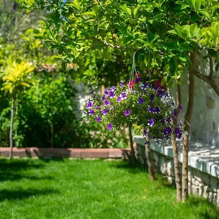 Flores Отель 3*