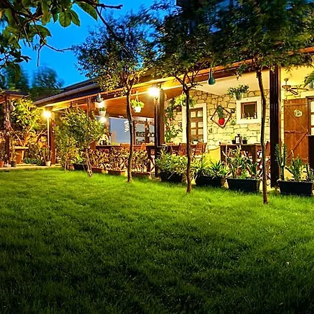 Flores Hotel 3*